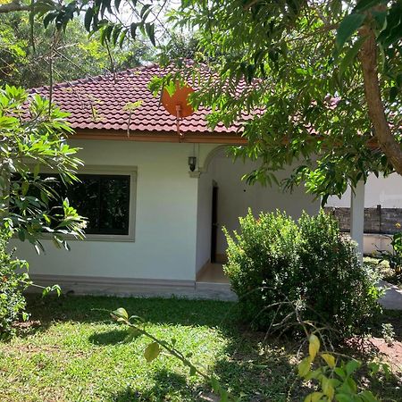 Samui Garden Resort Bangrak Plajı Dış mekan fotoğraf