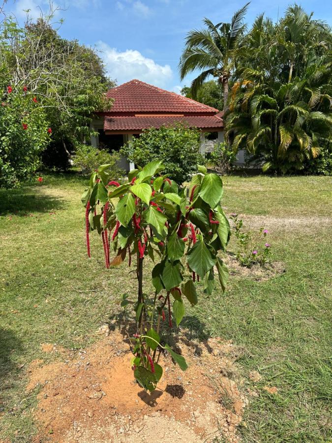 Samui Garden Resort Bangrak Plajı Dış mekan fotoğraf
