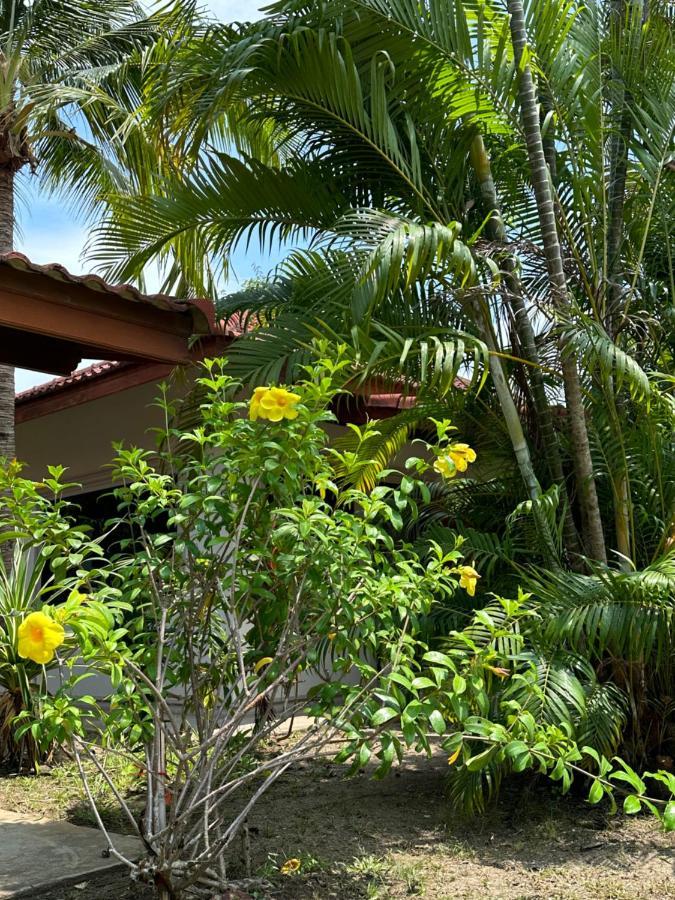 Samui Garden Resort Bangrak Plajı Dış mekan fotoğraf