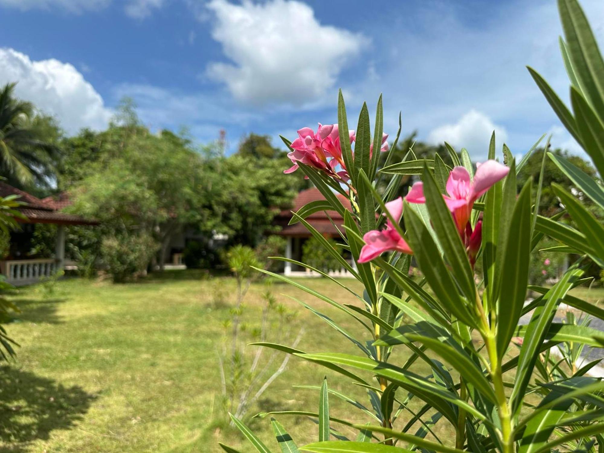 Samui Garden Resort Bangrak Plajı Dış mekan fotoğraf