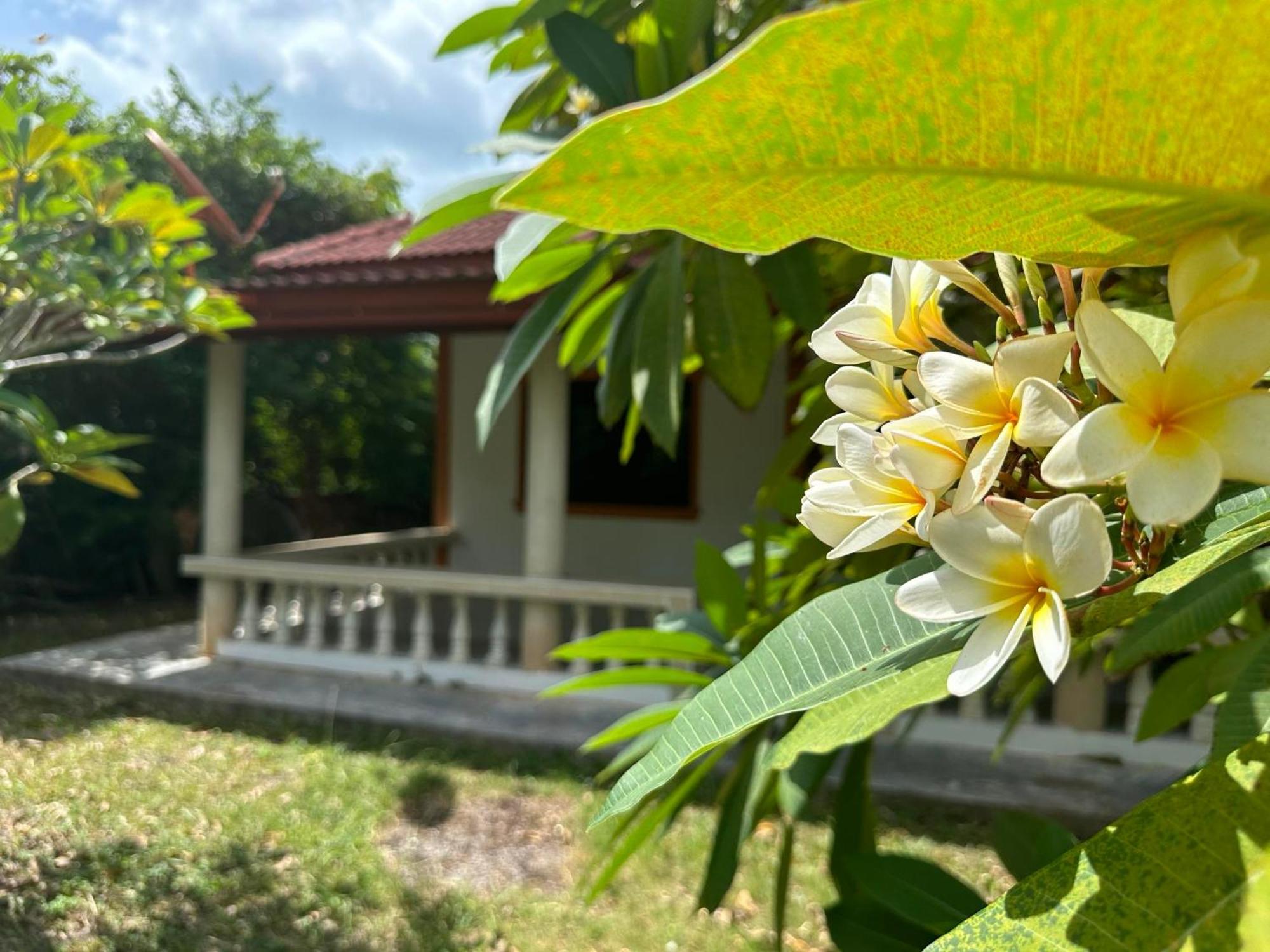 Samui Garden Resort Bangrak Plajı Dış mekan fotoğraf