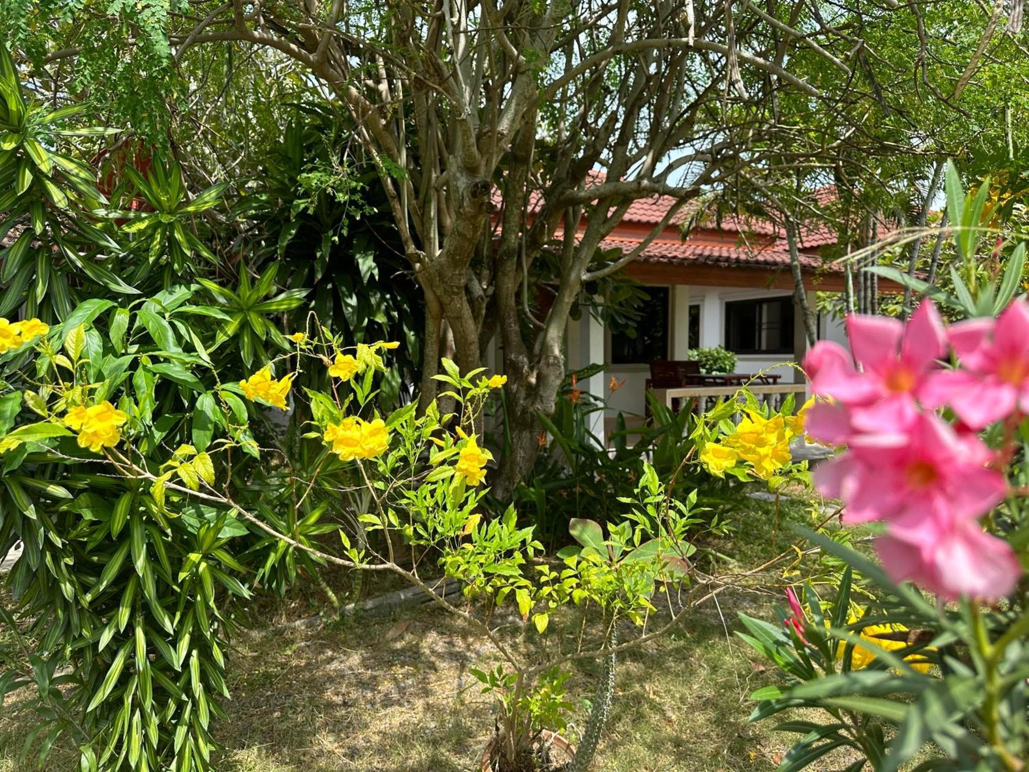 Samui Garden Resort Bangrak Plajı Dış mekan fotoğraf